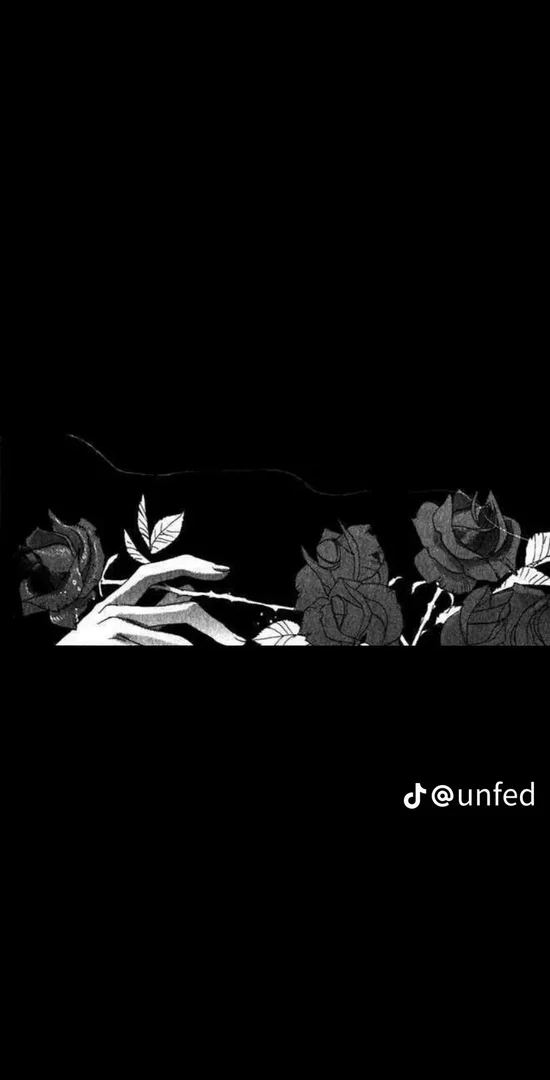 Qi 🐲 profile banner