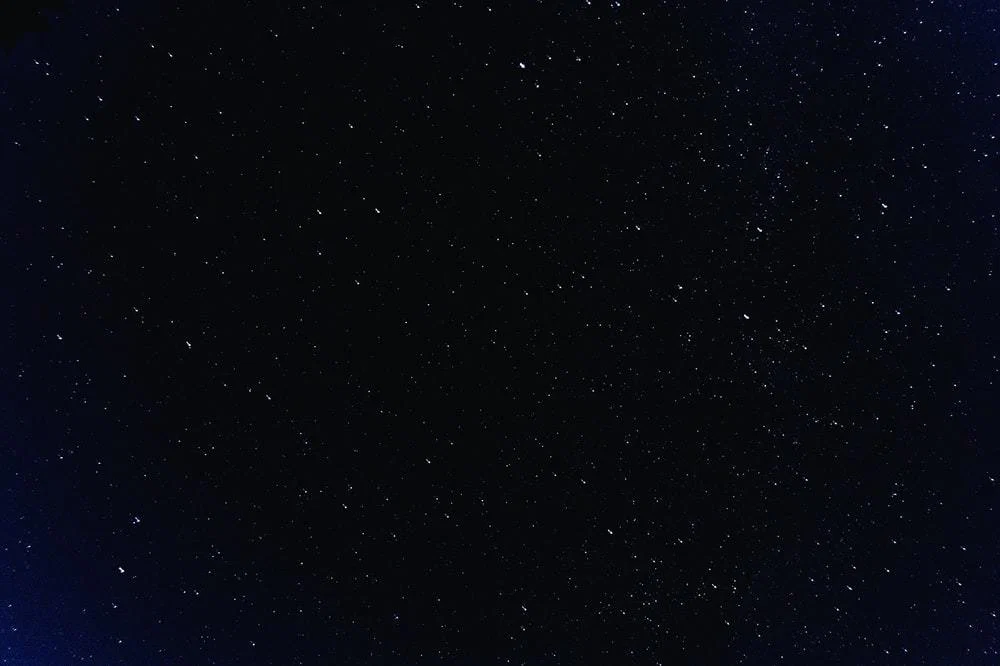 Poxxy profile banner