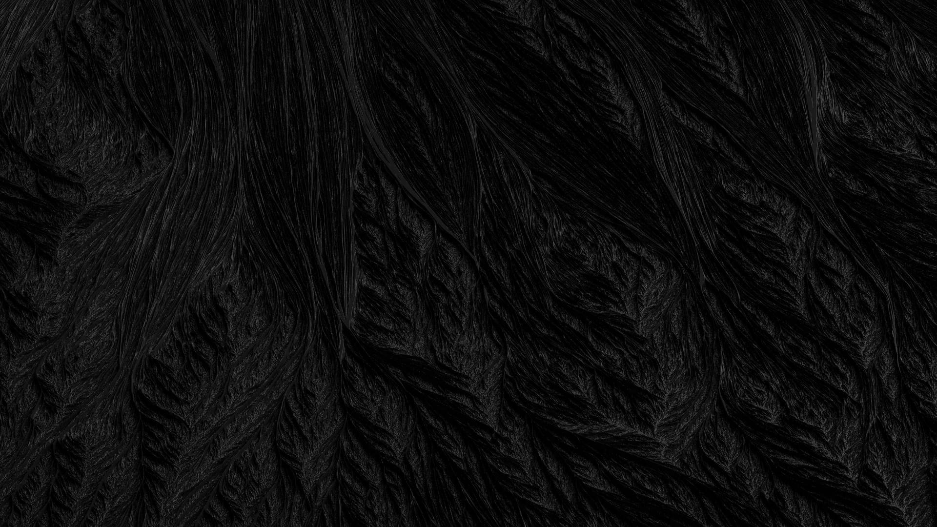 The Naked Director profile banner