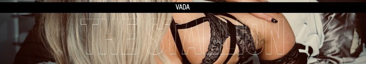 VadaTheStallion profile banner