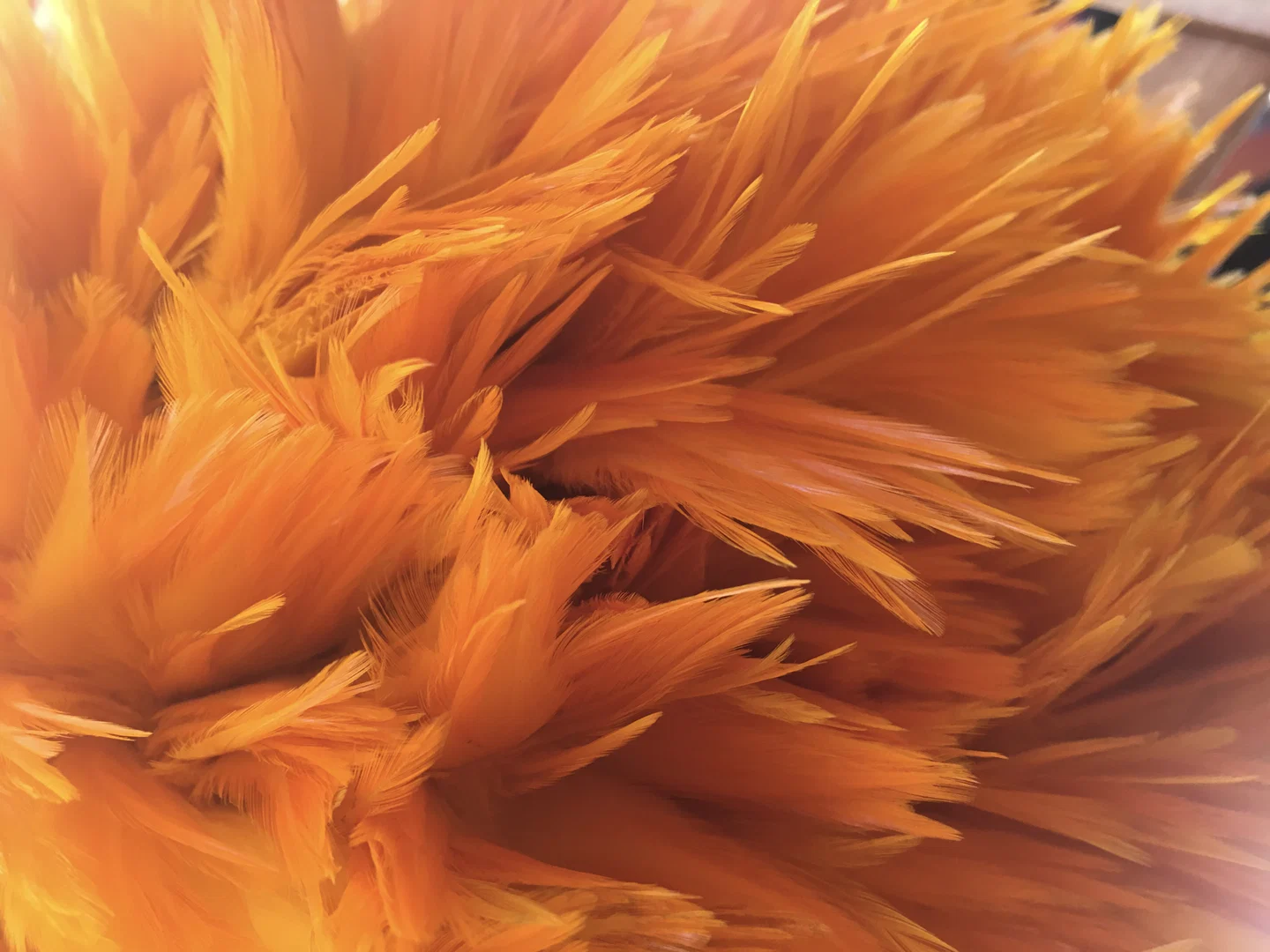 Kit G profile banner