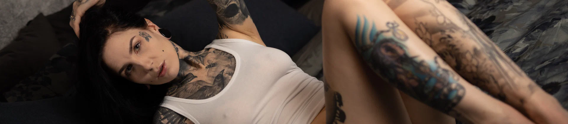 Alice Nord profile banner