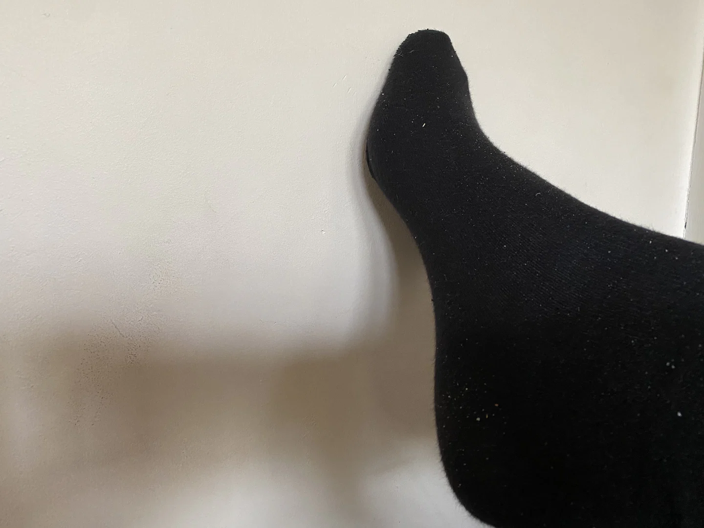 Big feet, Farts and SPH DOM ππ profile banner