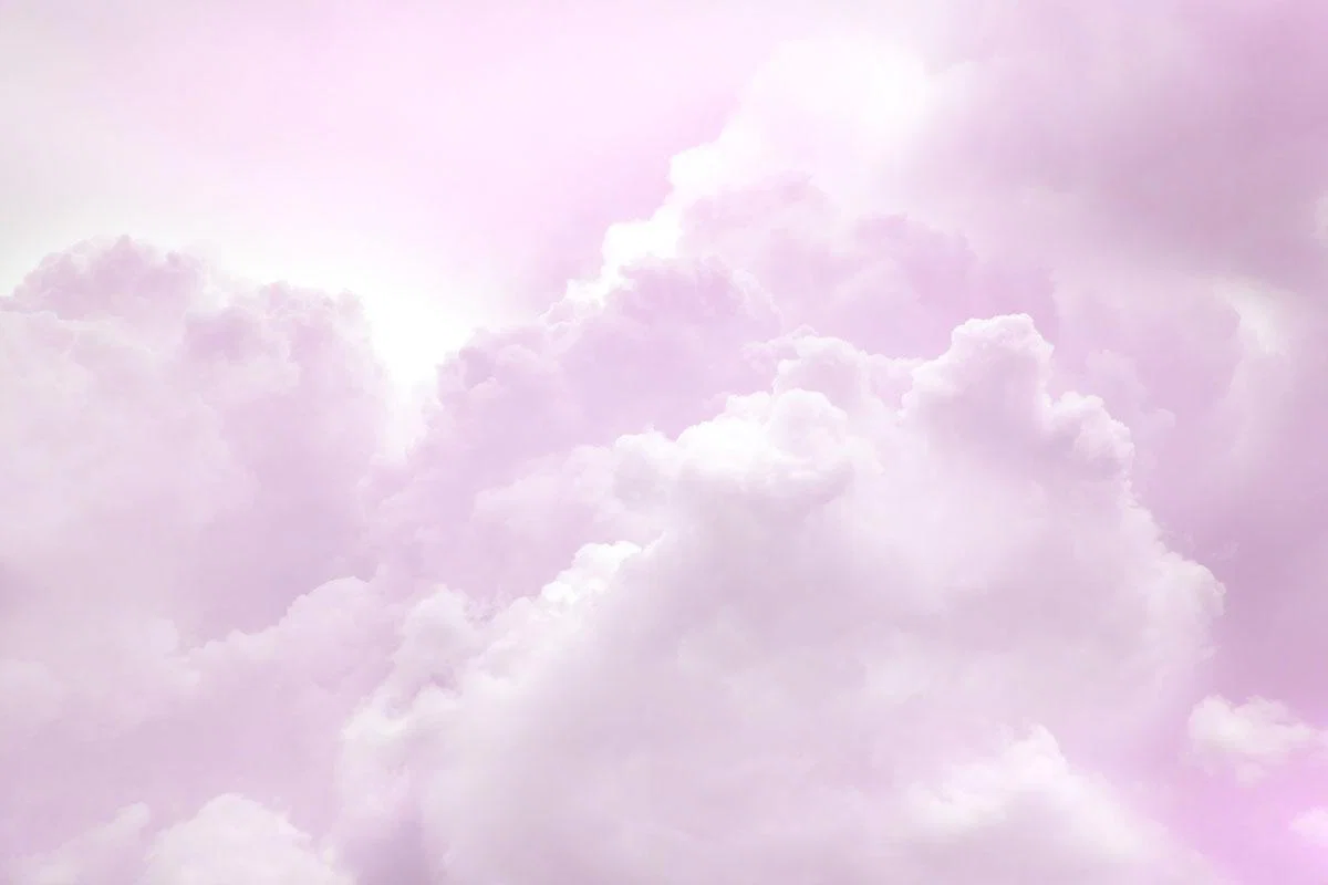 Alice💕 profile banner