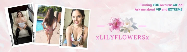 🌸Lily Flowers🌸 profile banner