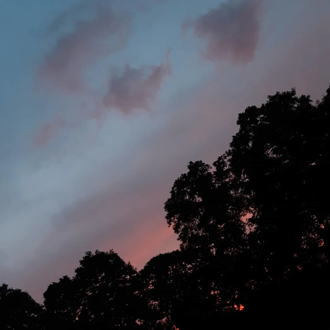 Heylee profile banner