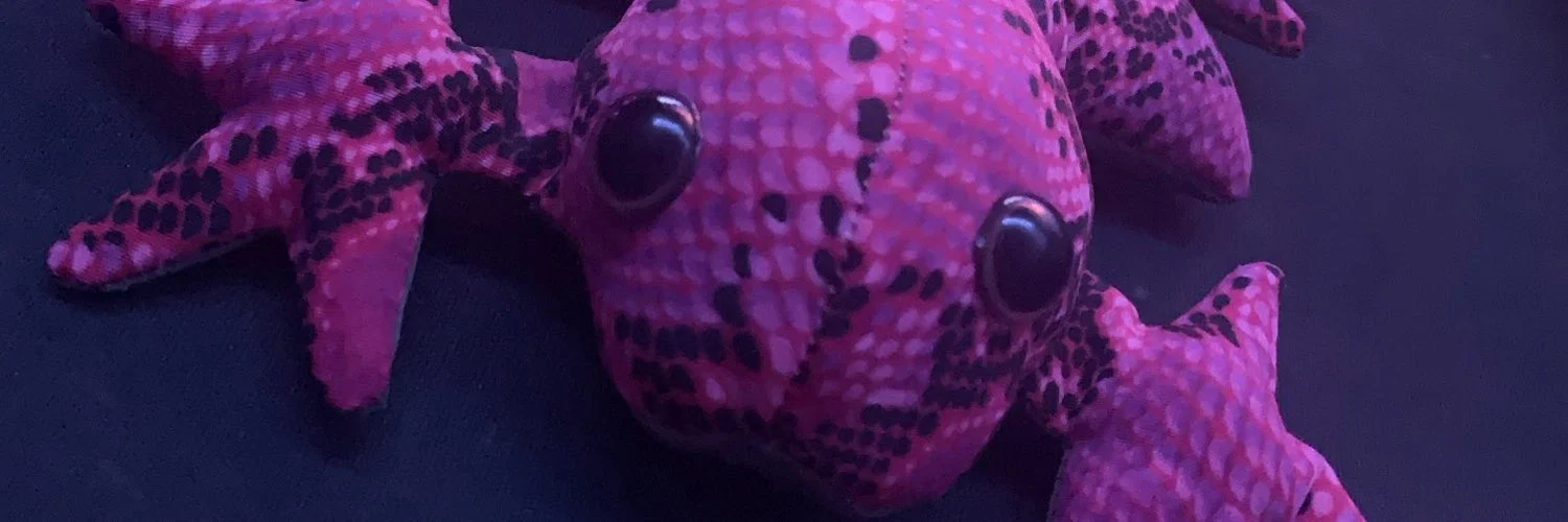 Modest_Femboy profile banner