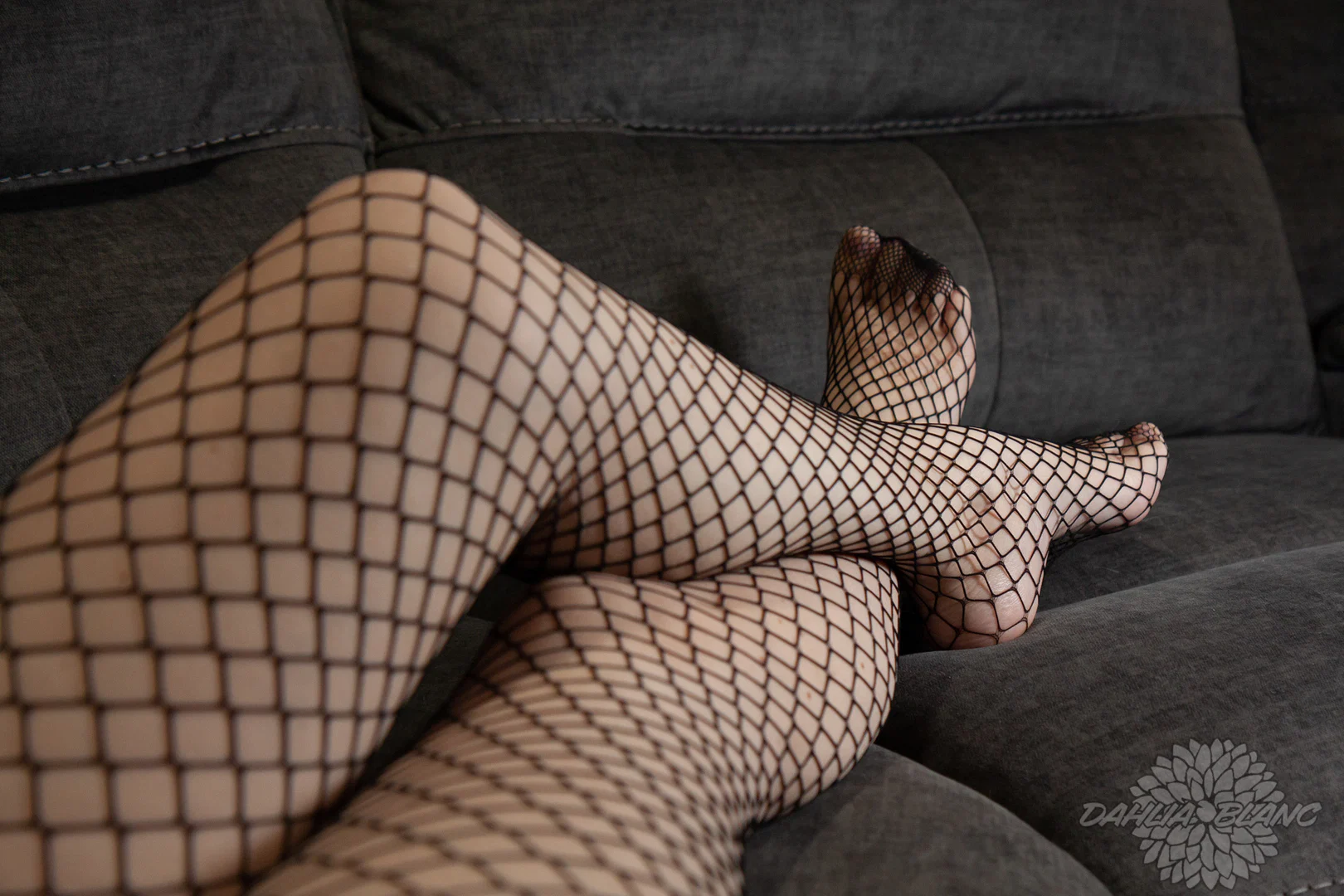 Dahlia Blanc | Foot Fetish Model profile banner
