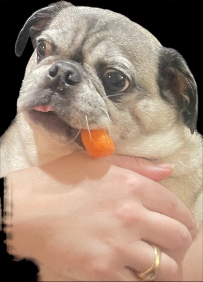 Josie