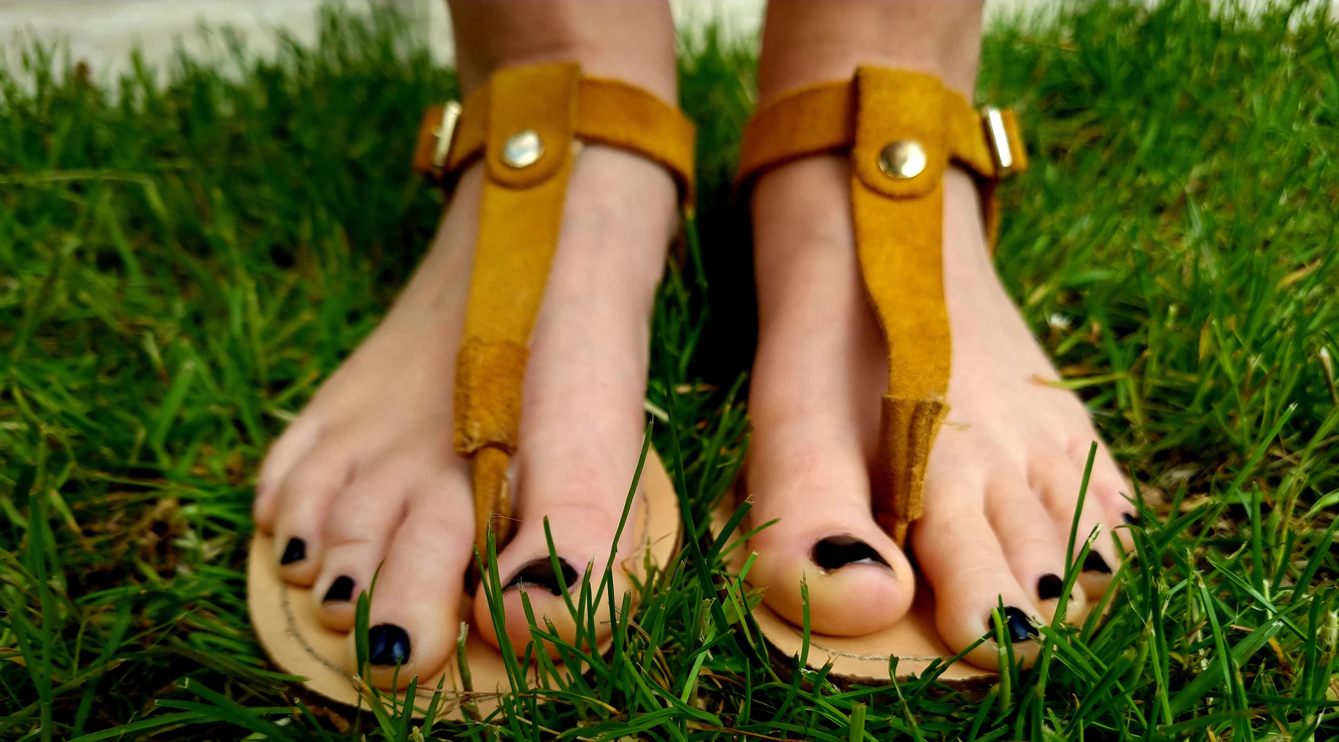 Tiny Heels profile banner