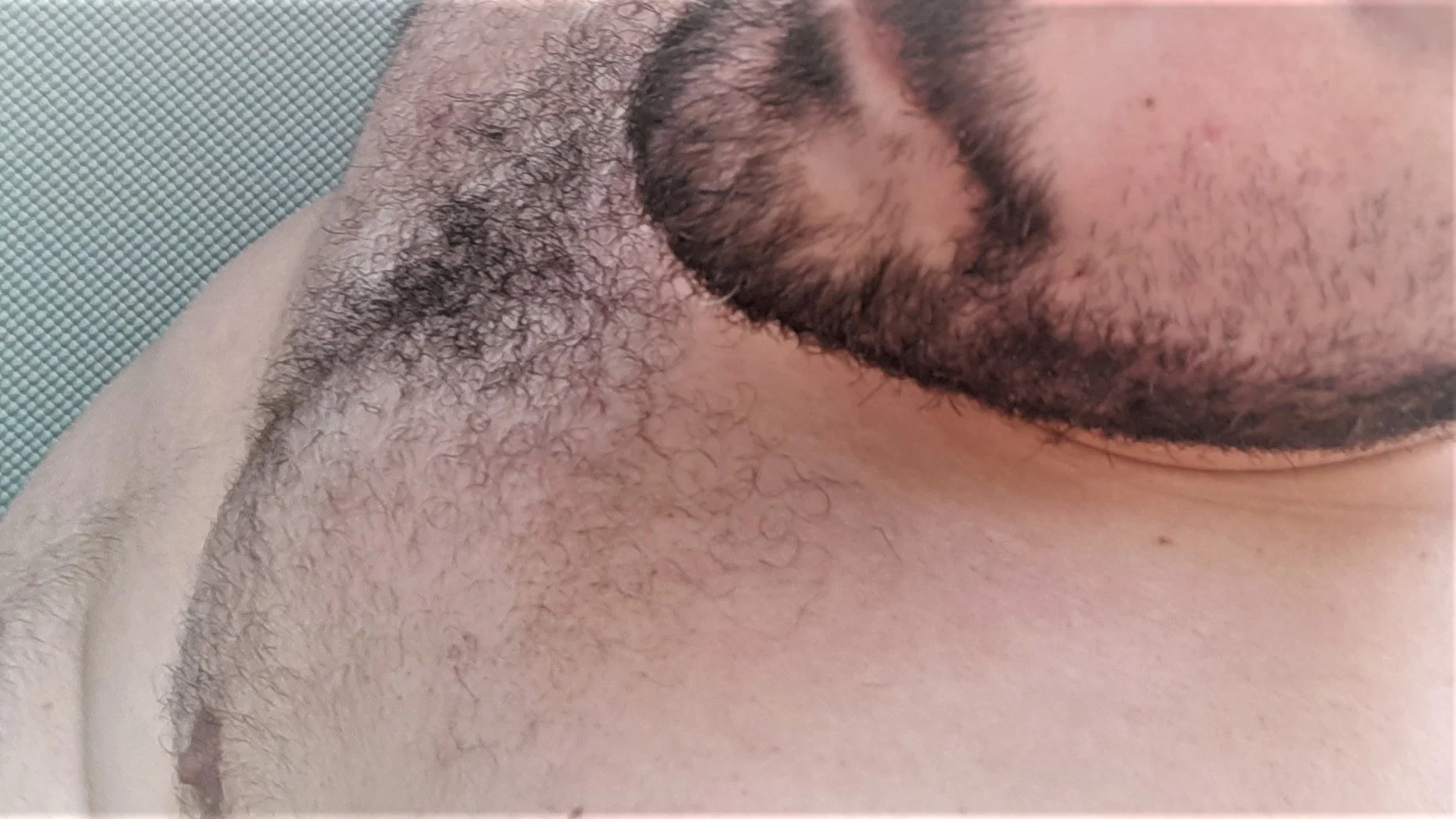 Nerdy Bear profile banner