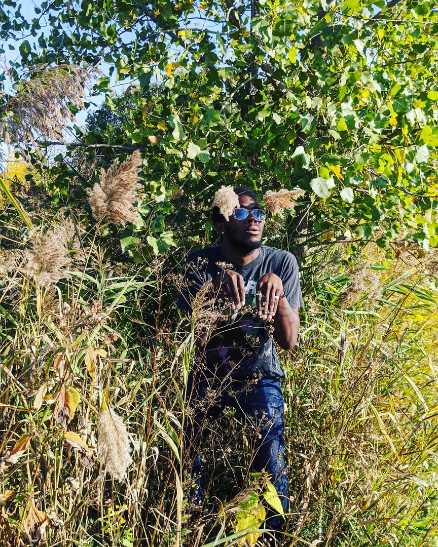 Frost profile banner