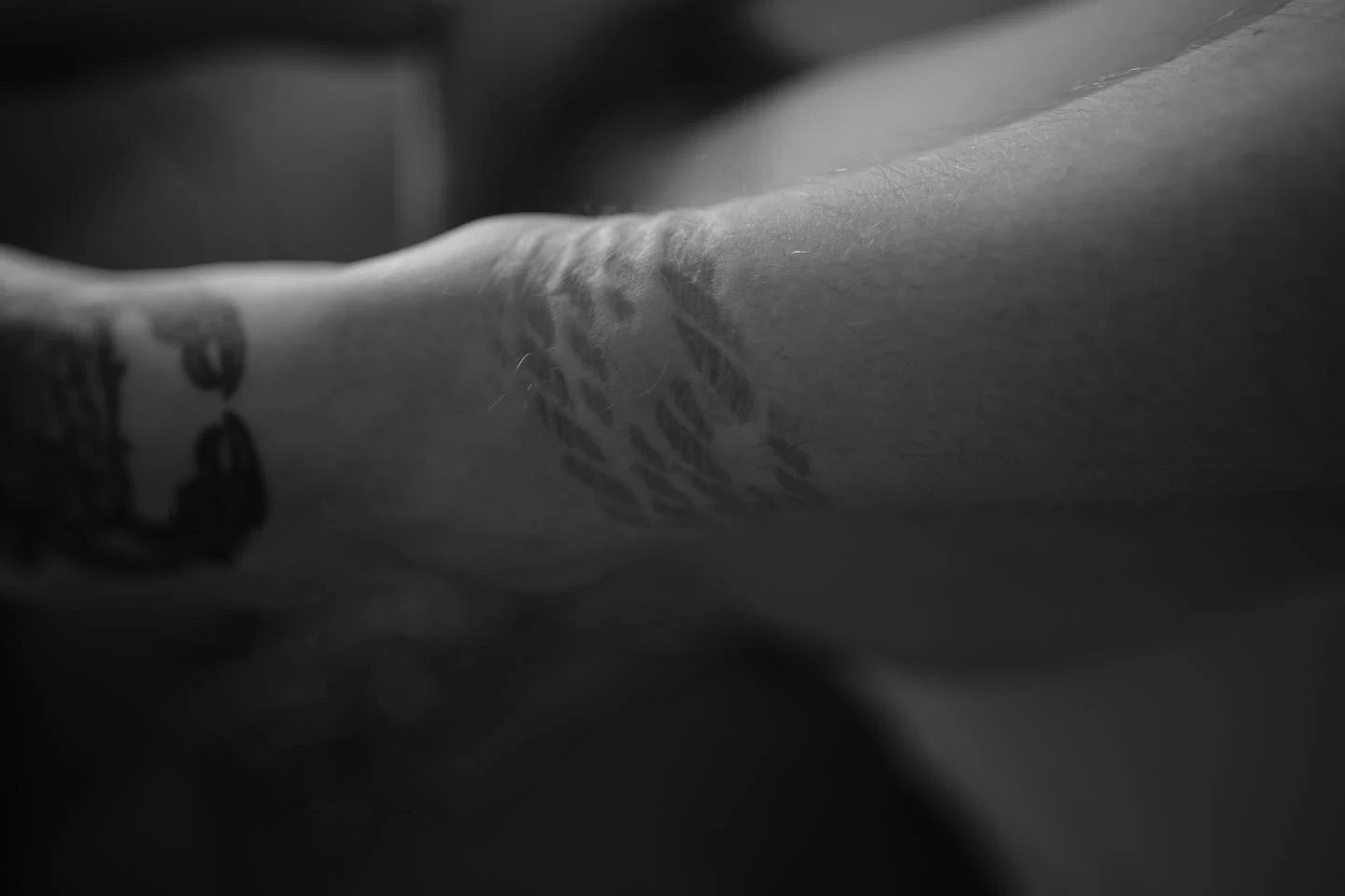 Daisy Jane profile banner