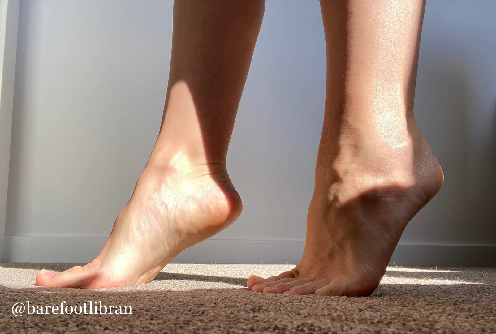 Barefoot Libran profile banner