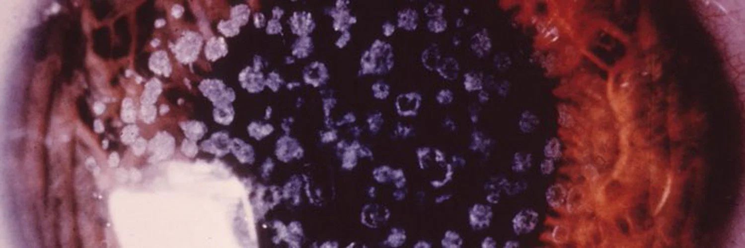 π profile banner