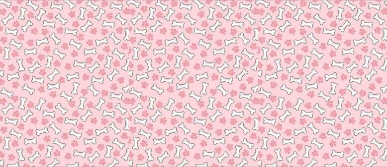 Anita 🌸 profile banner