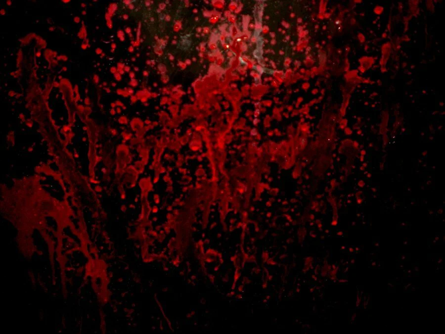 Lilly Grace profile banner