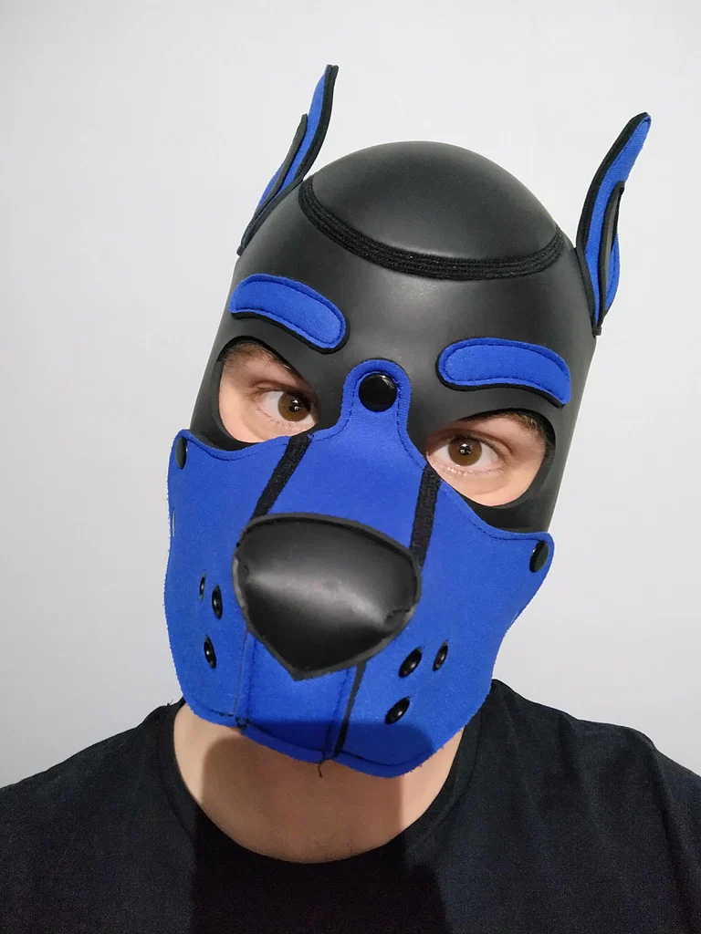 Pup Rupert's avatar