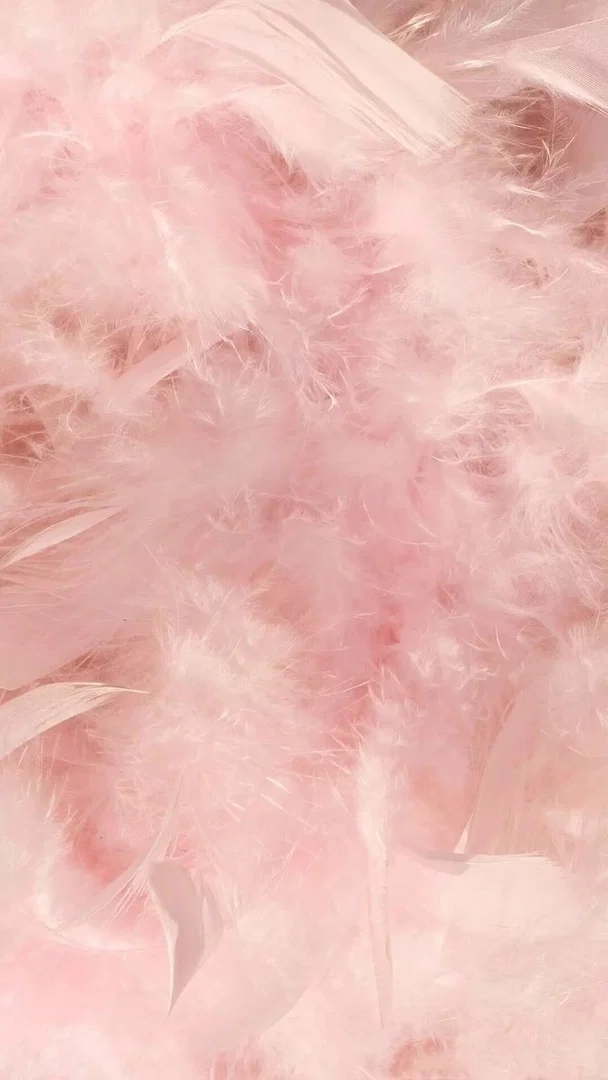 Bombón 🍬 profile banner