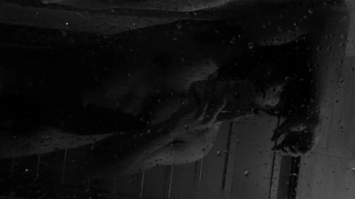 Fernando™ profile banner