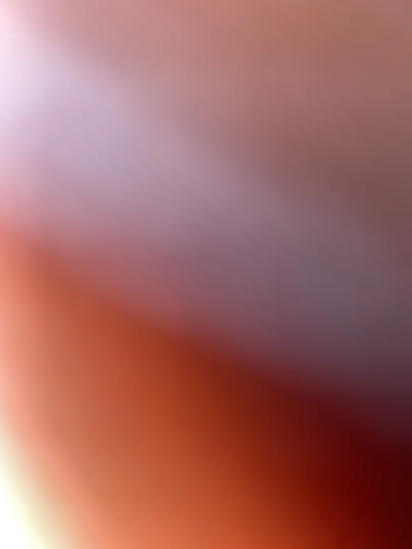 Dee Feet profile banner