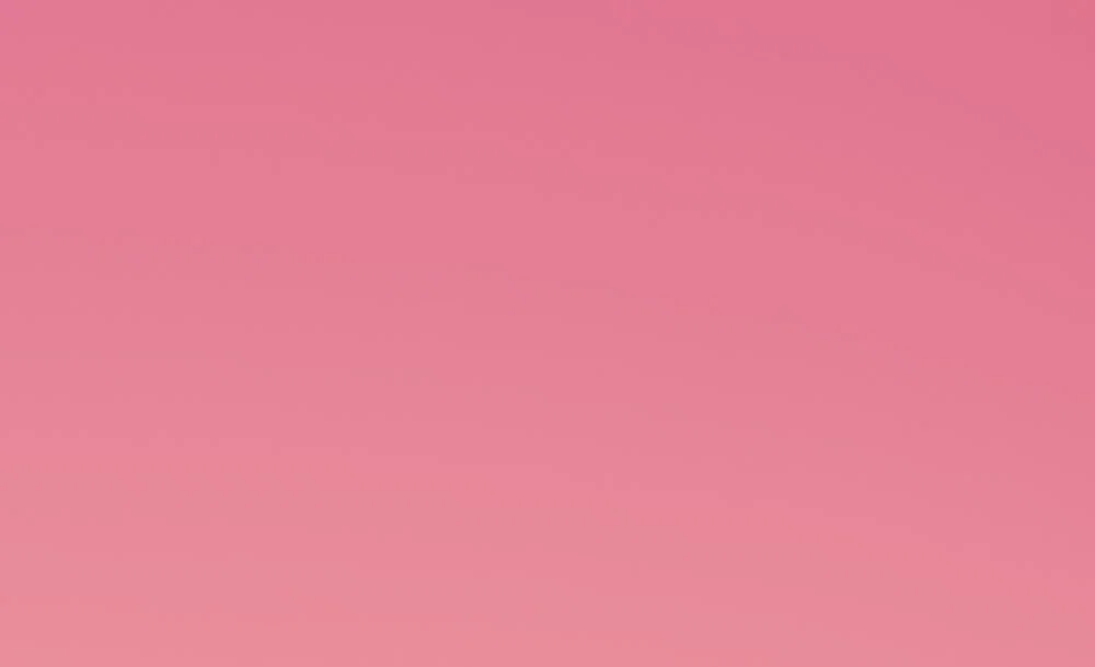 Madddie profile banner