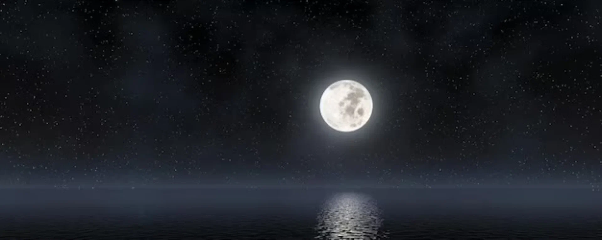 BttmWolf profile banner