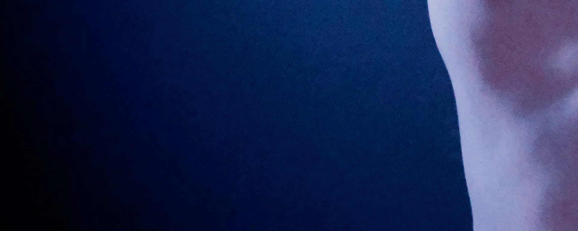 u179314281 profile banner