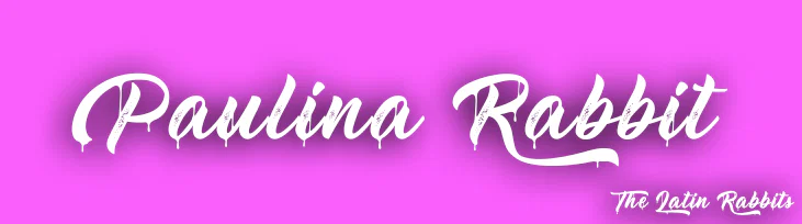 Paulina Rabbit profile banner