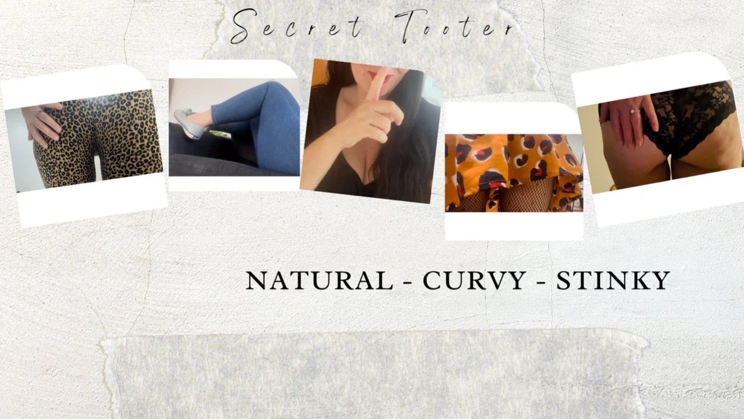 SecretTooter profile banner