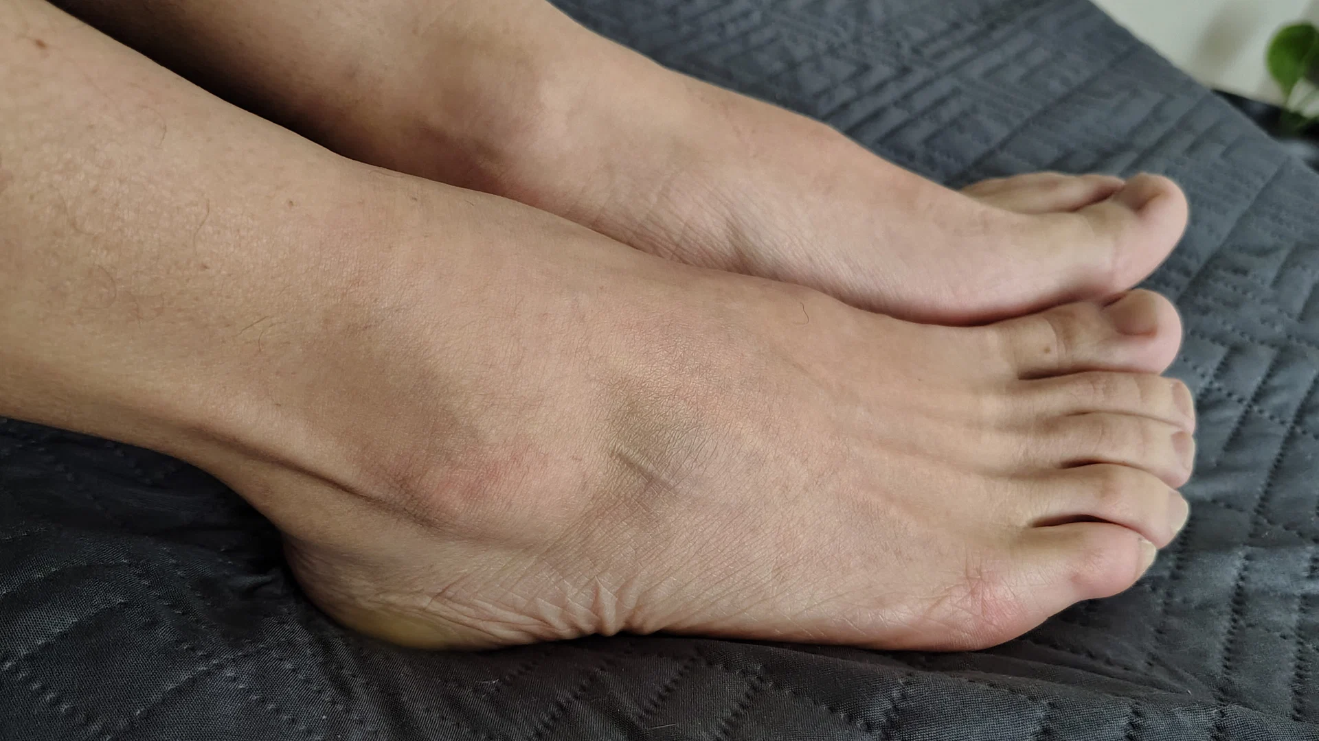 chileanhobbitfeet profile banner