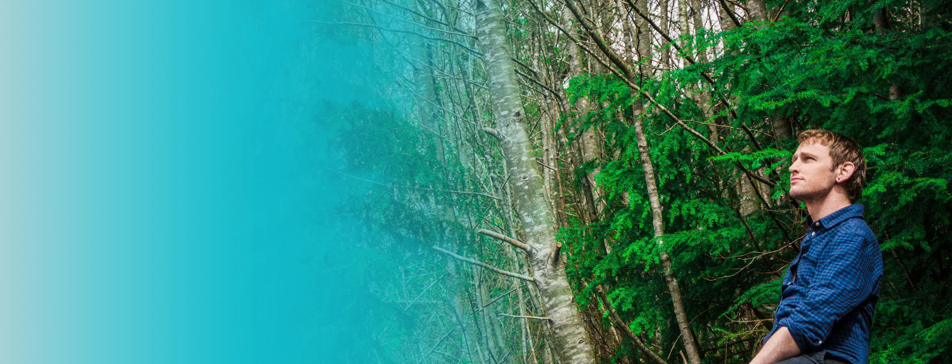 Rob Banks profile banner