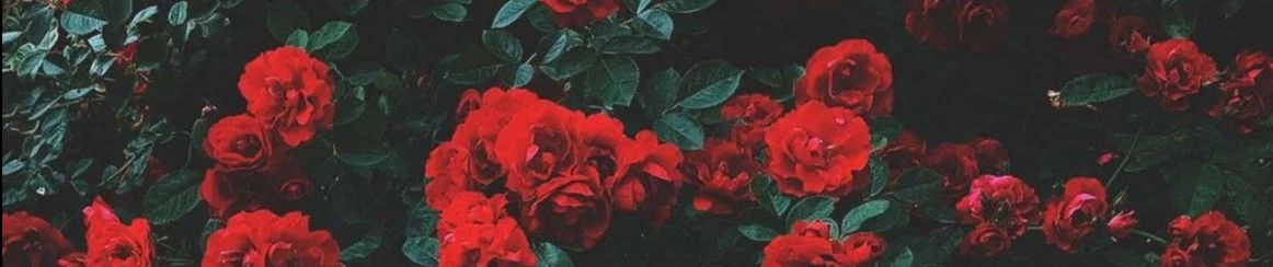 Goddess_Cynthia profile banner