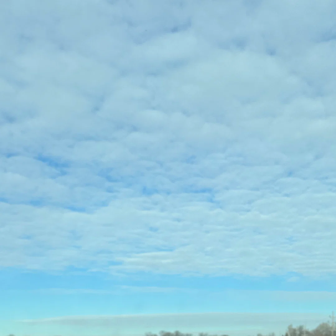 DelilahMae profile banner