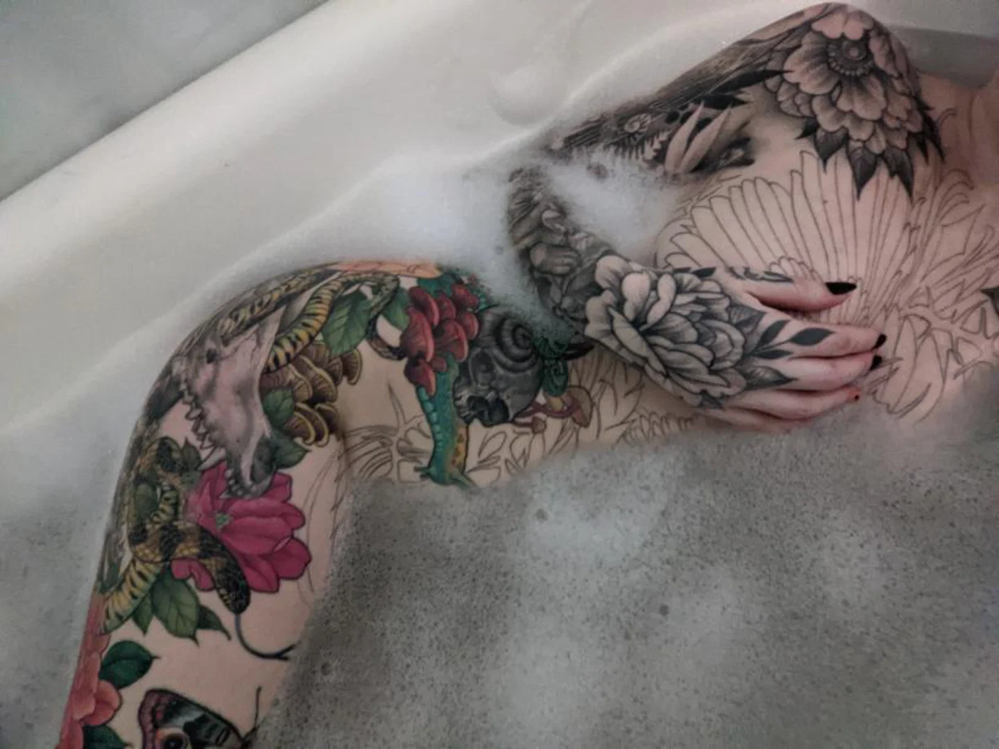 bella profile banner