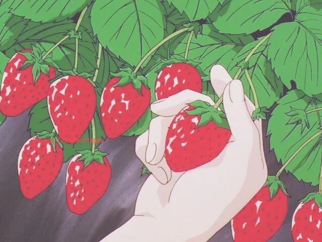đŻď¸đŚđŻď¸ profile banner