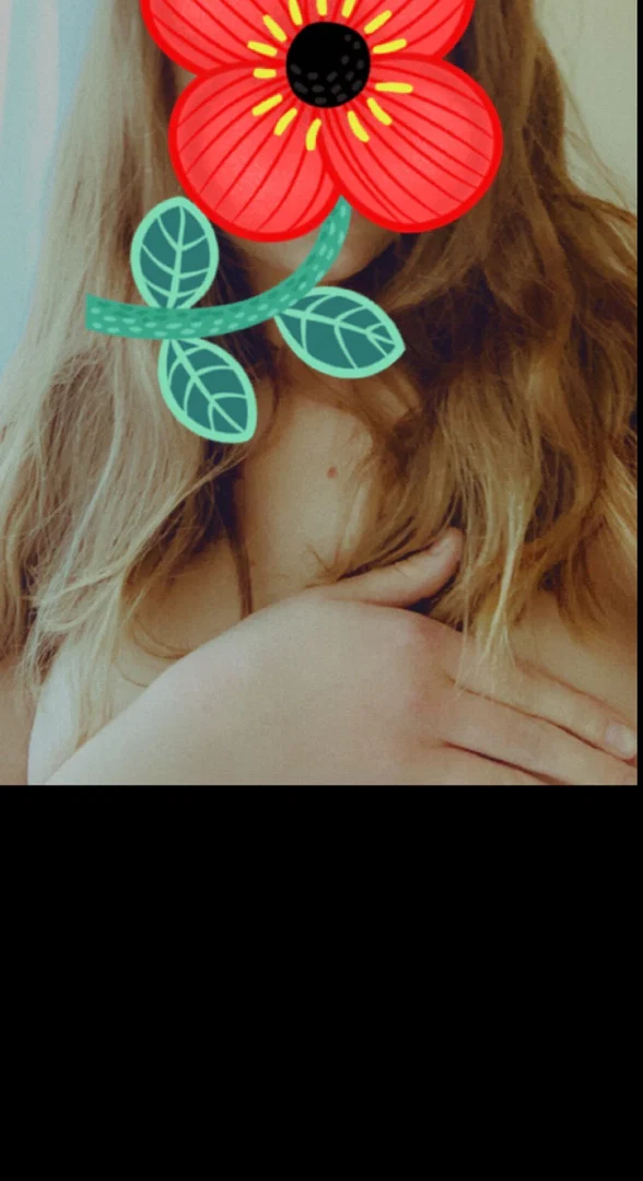 BeanieBaby profile banner