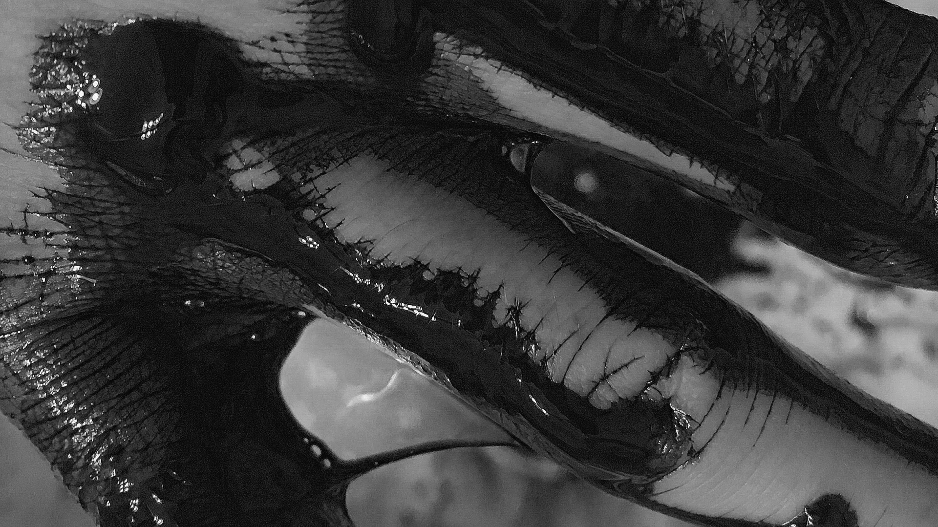 _crustbag_ profile banner