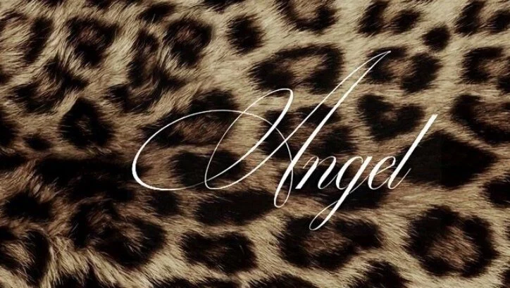 ๐ฎ๐๐๐ ๐ต๐๐๐๐๐ฐโ๏ธ profile banner