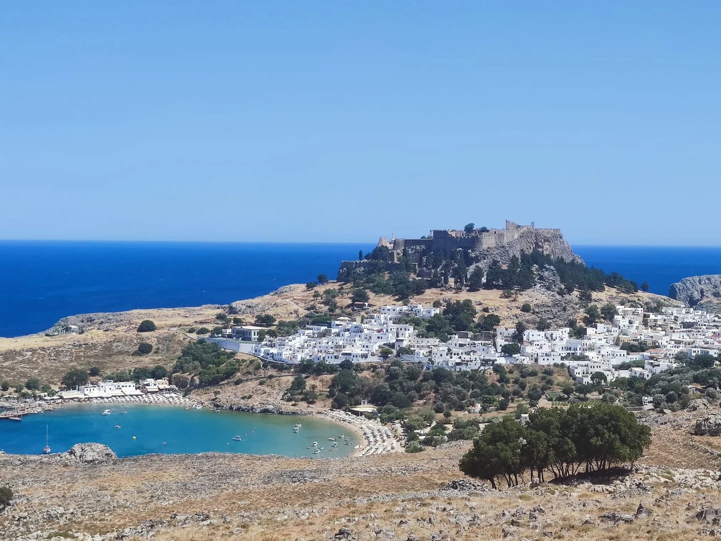 Puts Bulge in Bulgarian π§π¬ π π profile banner