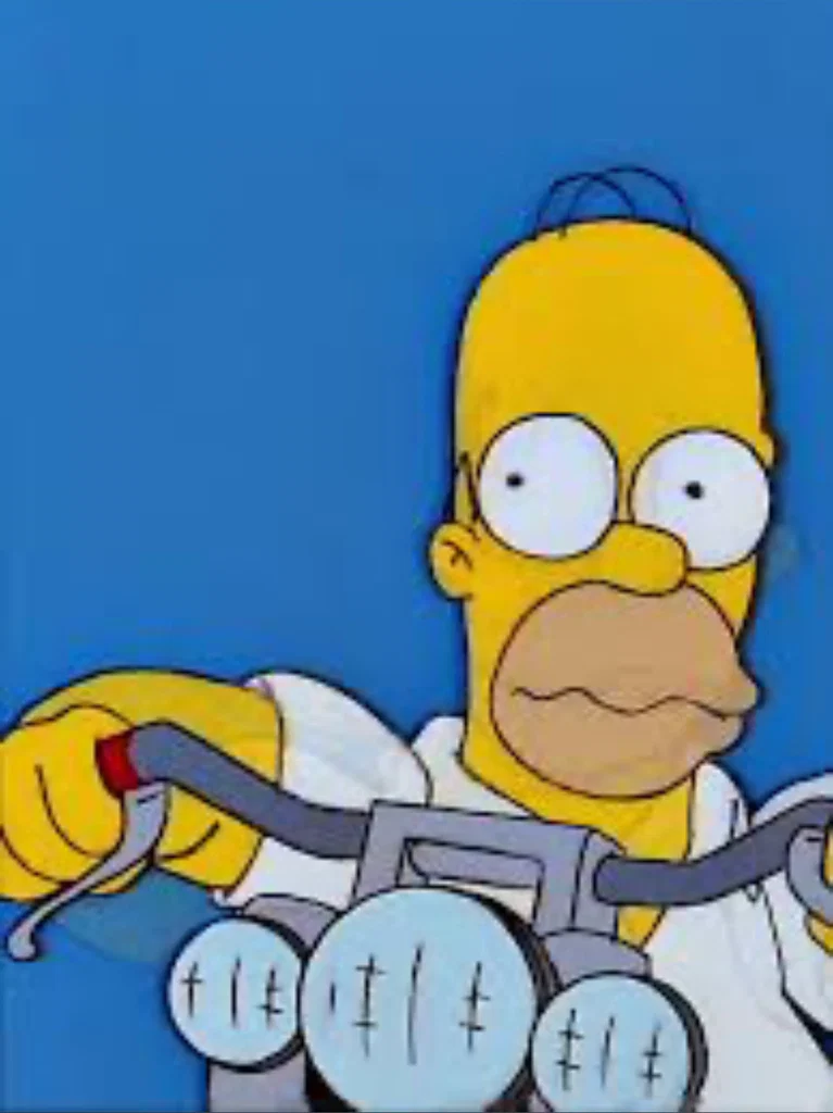 Homer