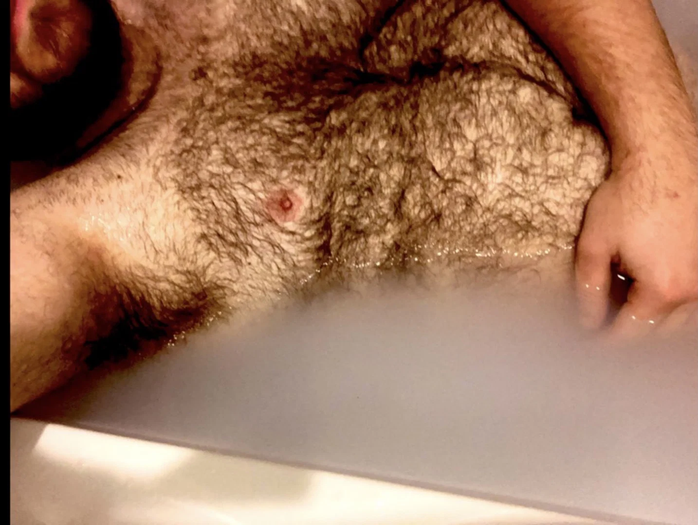 Hairy college cub profile banner