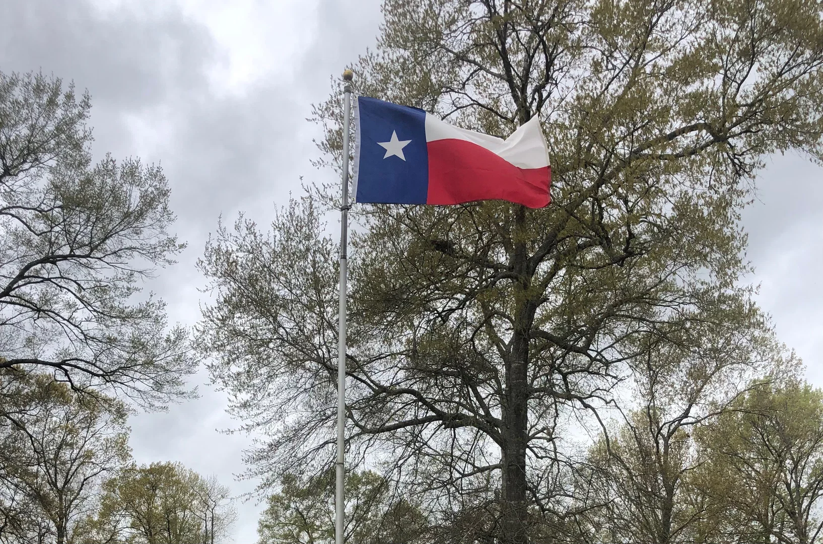 Naked Redneck profile banner