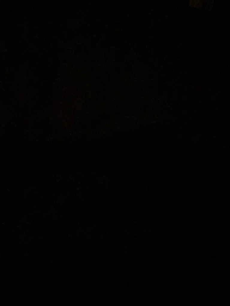 Libra12
