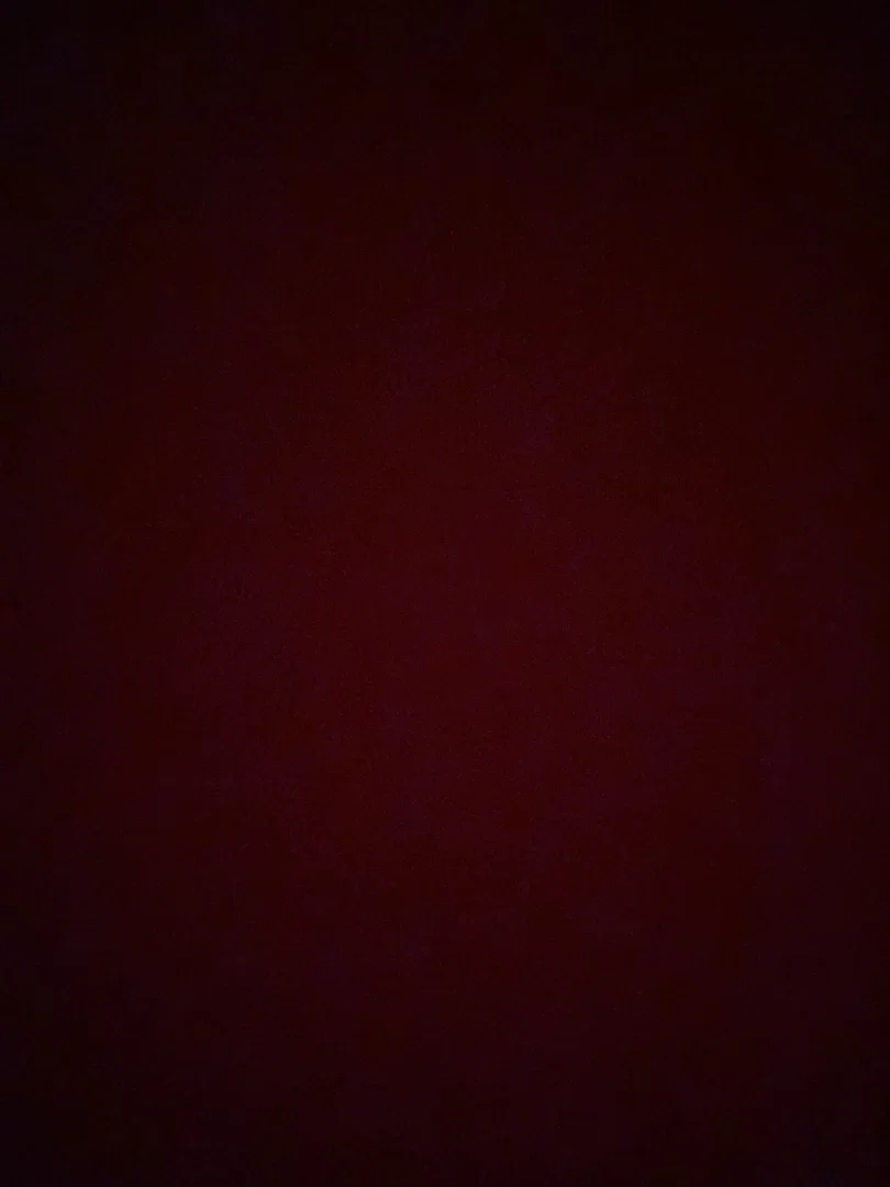 Ant 2lit profile banner