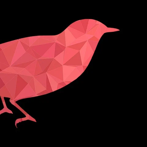 Corbeau Rouge's avatar