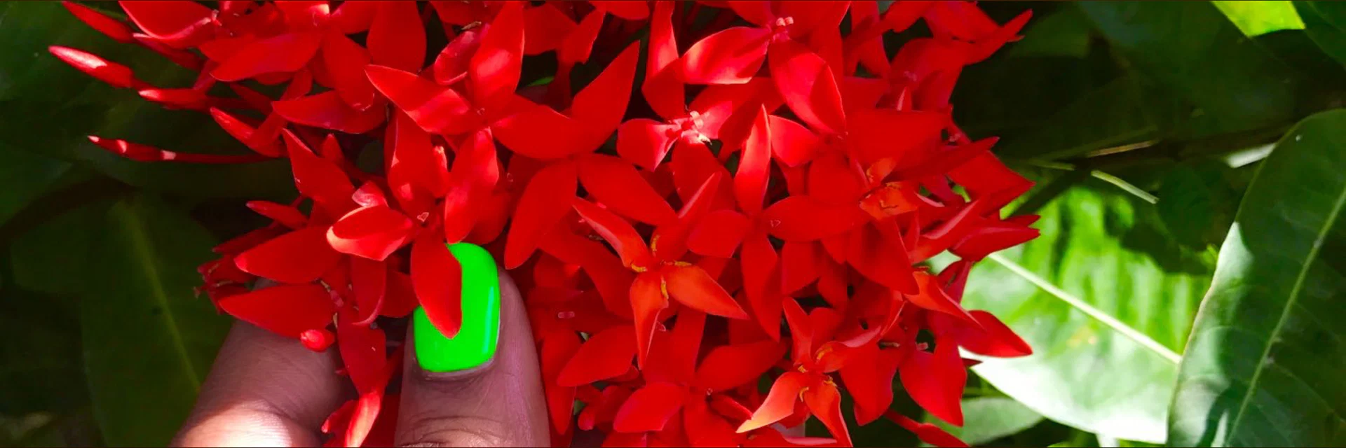 TamTam π profile banner