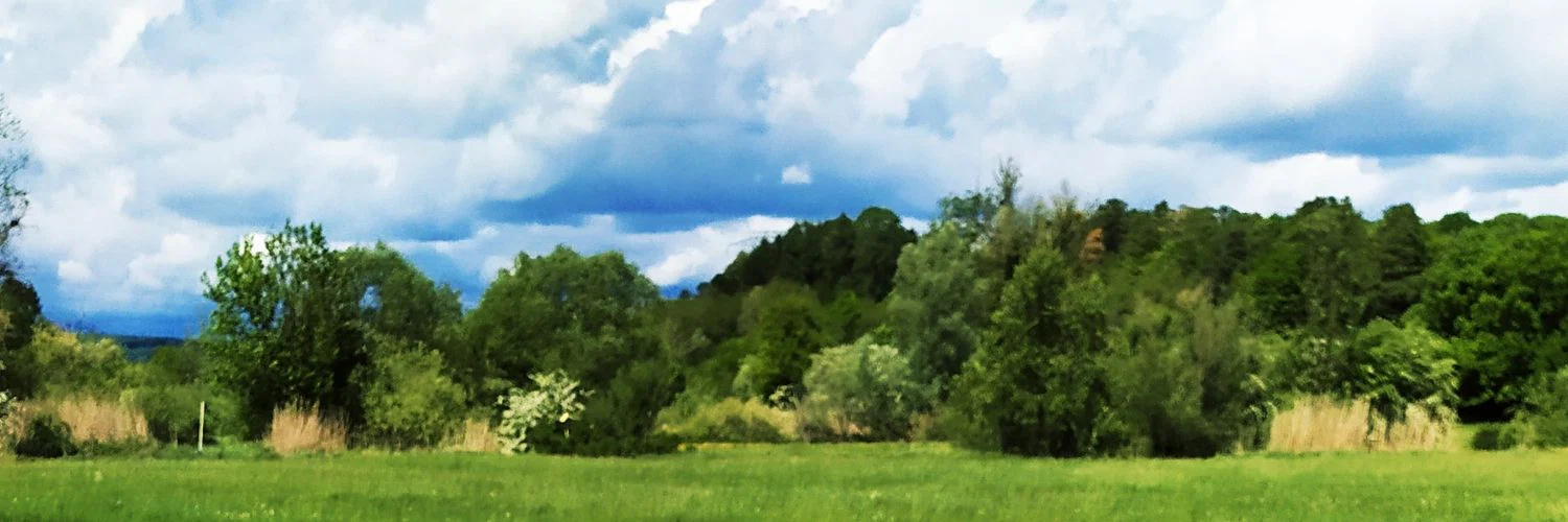 u32946953 profile banner