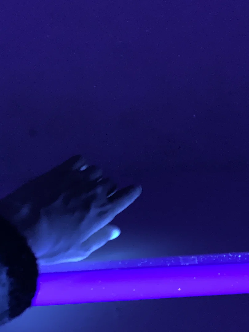 ♥ profile banner
