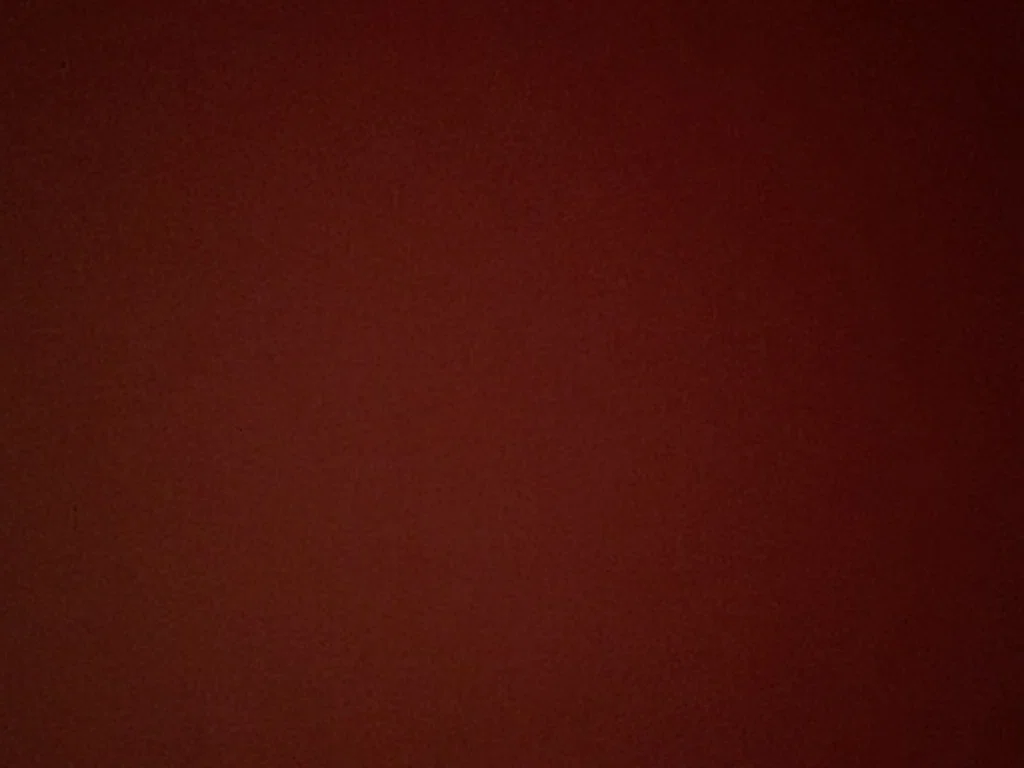 DAN